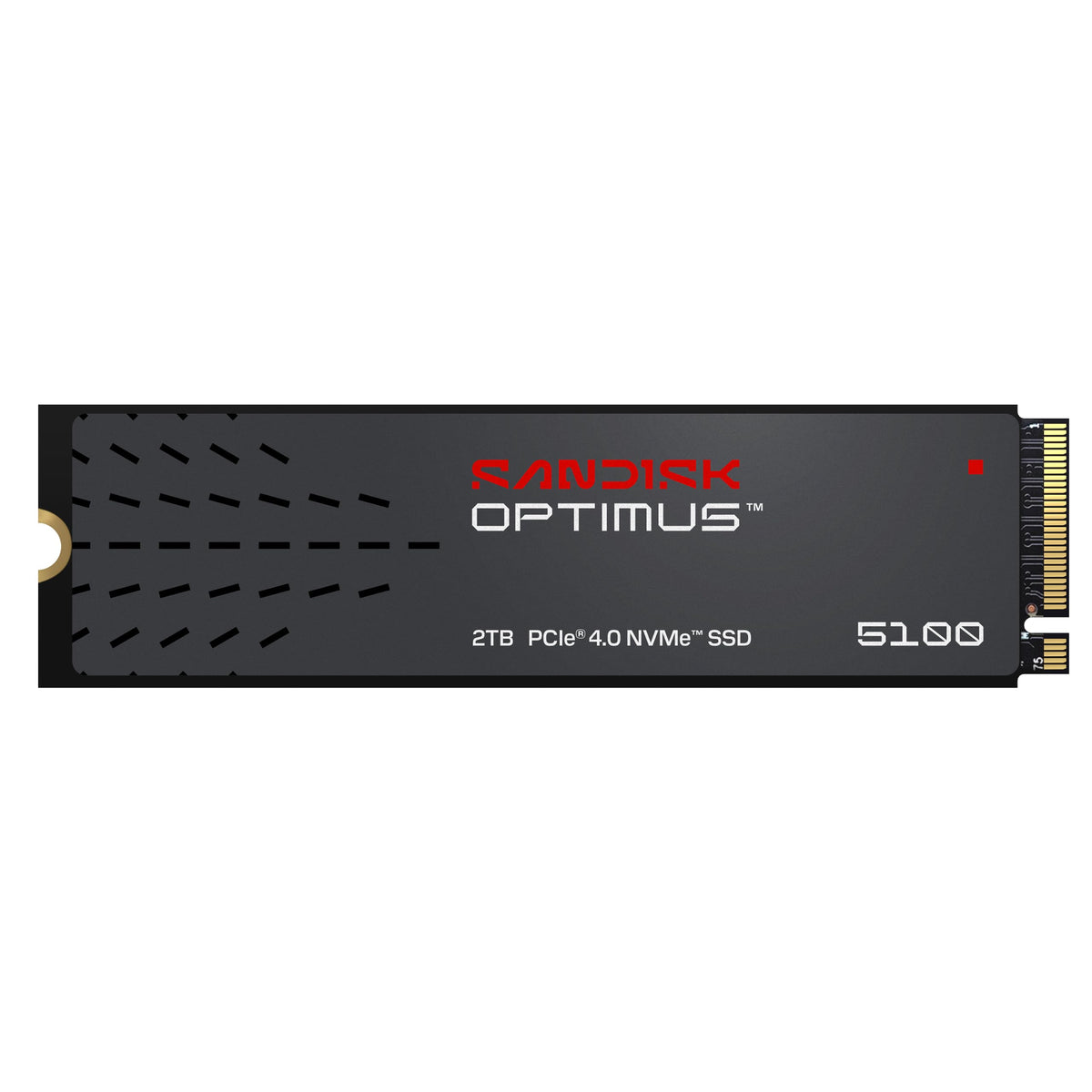 2TB NVMe SSD, PCIe 4.0, M.2 2280 A6231