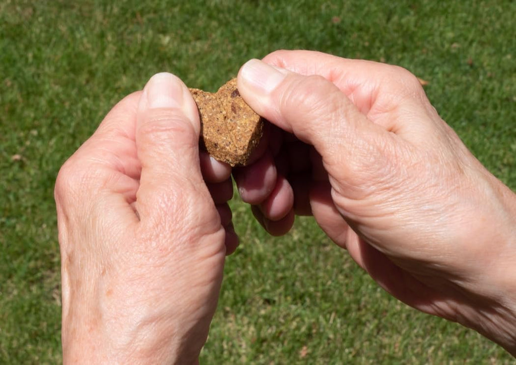 Roasted Duck Grain Free Dog Treats 2-Pack 36oz S57083
