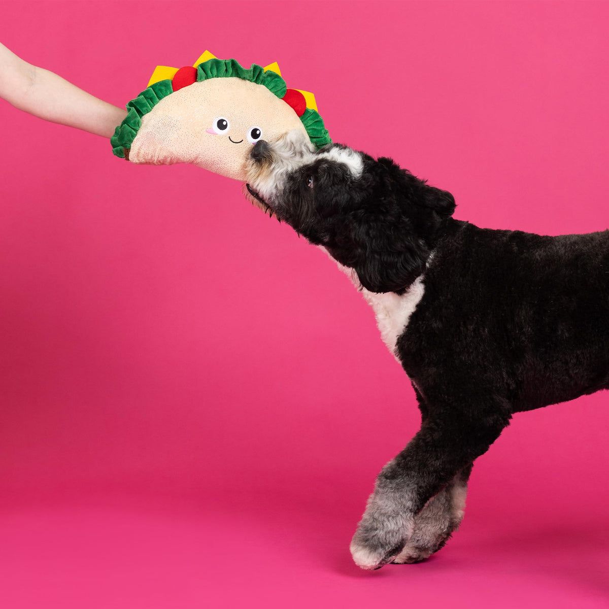 Large Plush Dog Toy Y702841