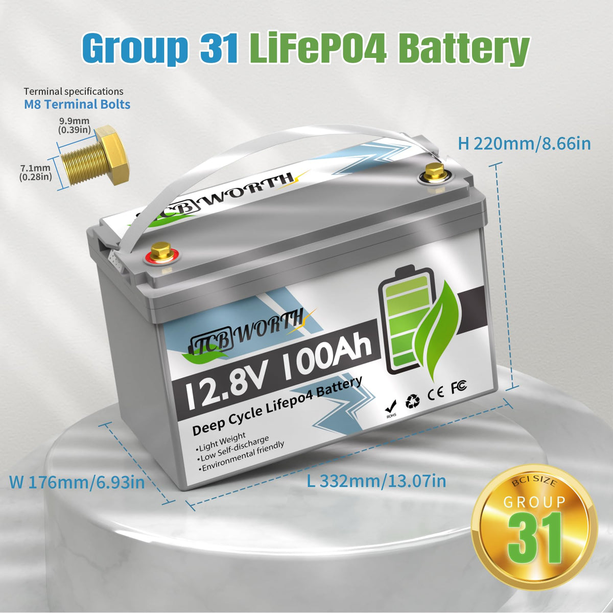 12V 100Ah LiFePO4 Deep Cycle Lithium Battery with 100A BMS G977645