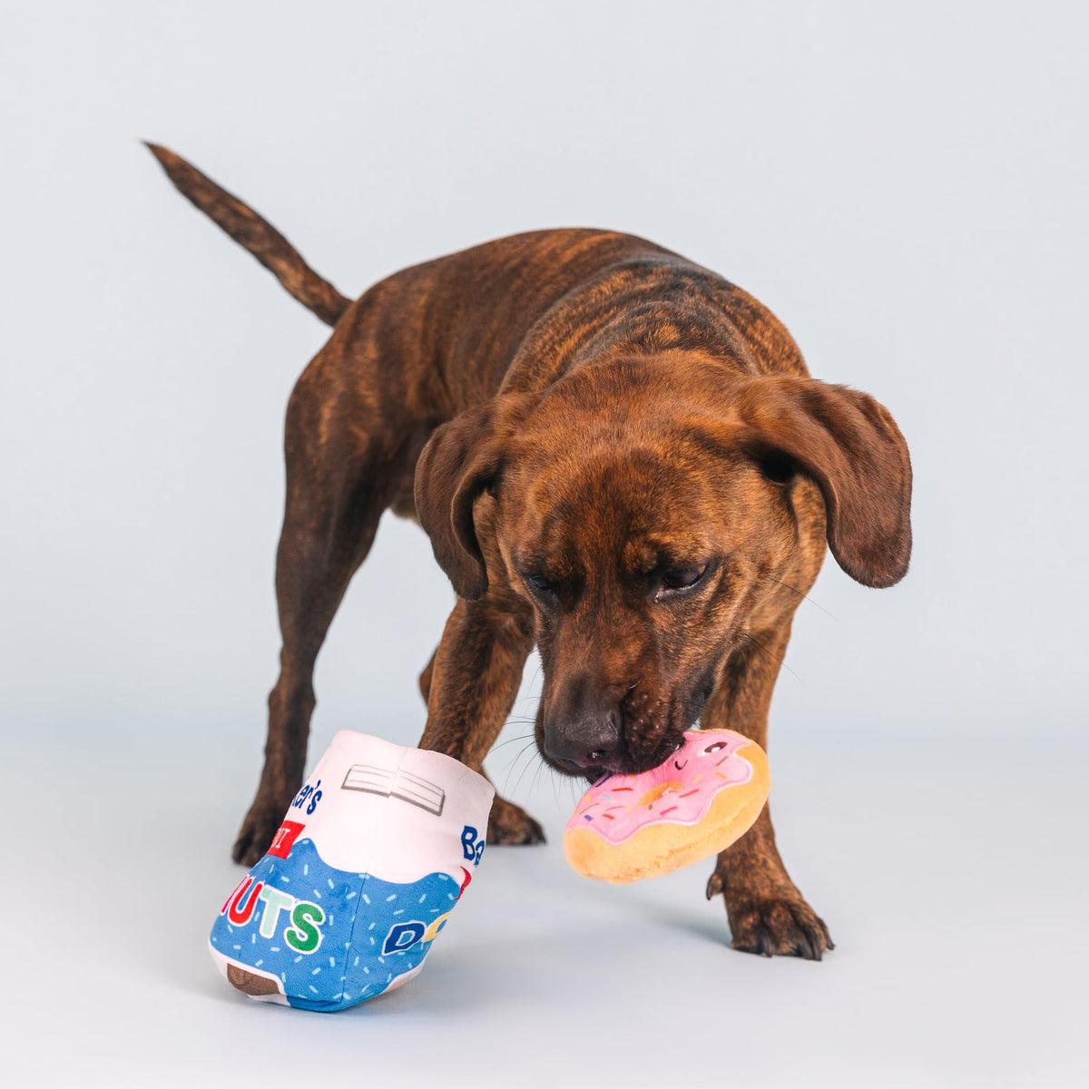 Plush Dog Toy Set V377129