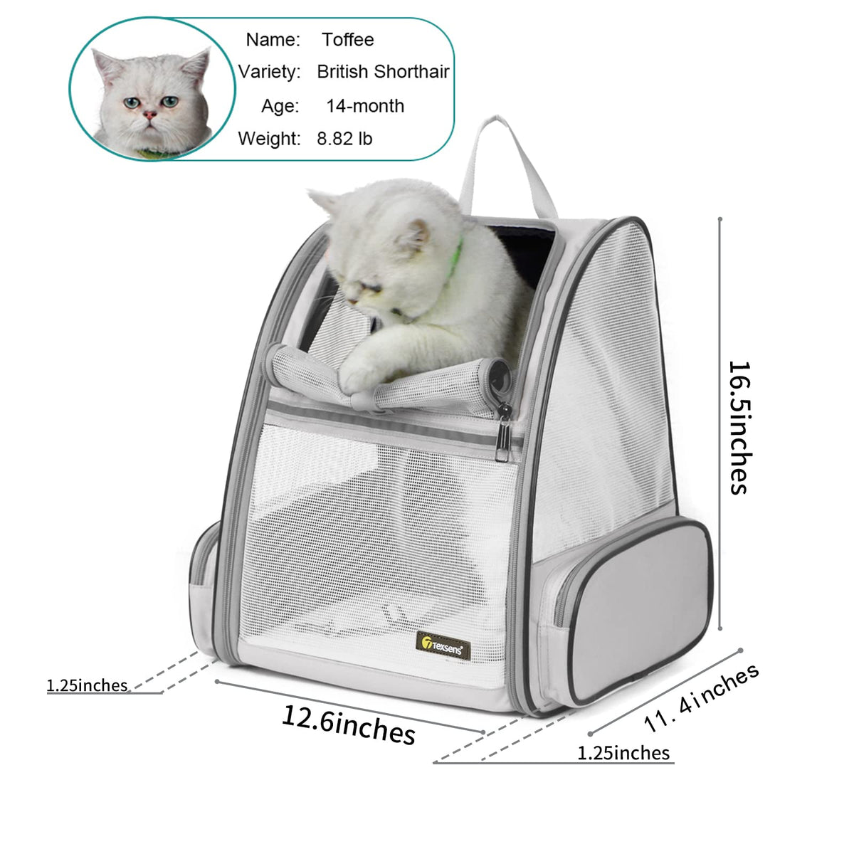 Bubble Backpack Pet Carriers R746