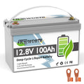 12V 100Ah LiFePO4 Deep Cycle Lithium Battery with 100A BMS G977645