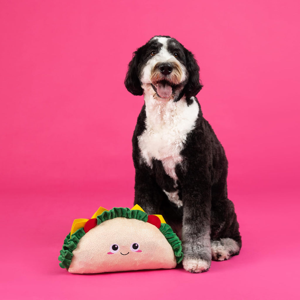 Large Plush Dog Toy Y702841