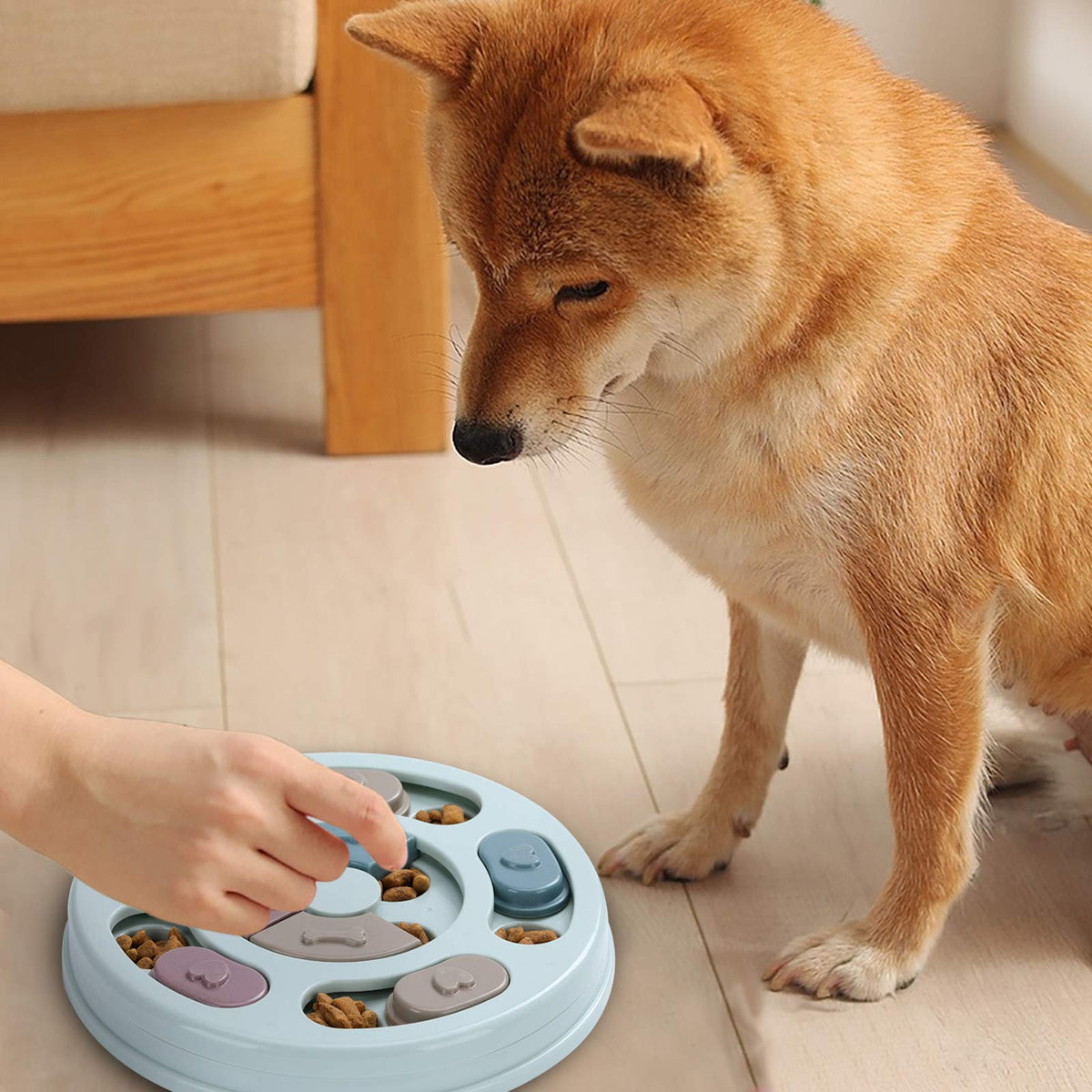 Dog Treat Puzzle W480