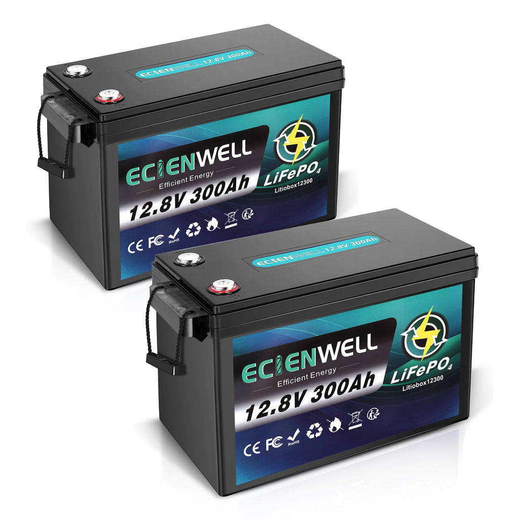 12V 600Ah LiFePO4 Battery with 200A BMS R24362