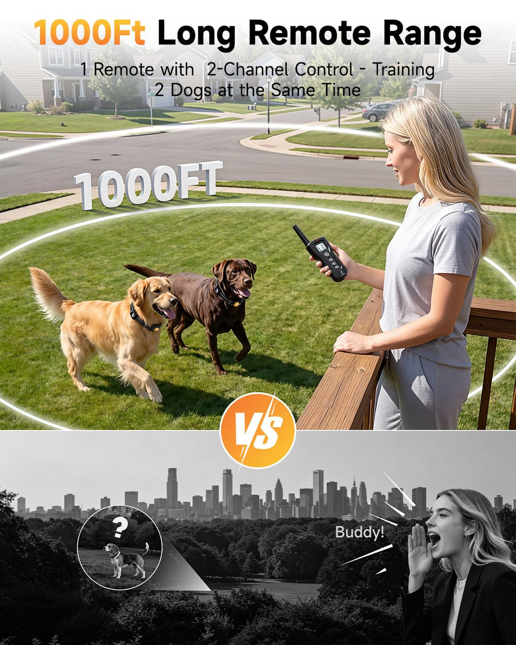 Rechargeable Dog Training Collar with Remote O8188