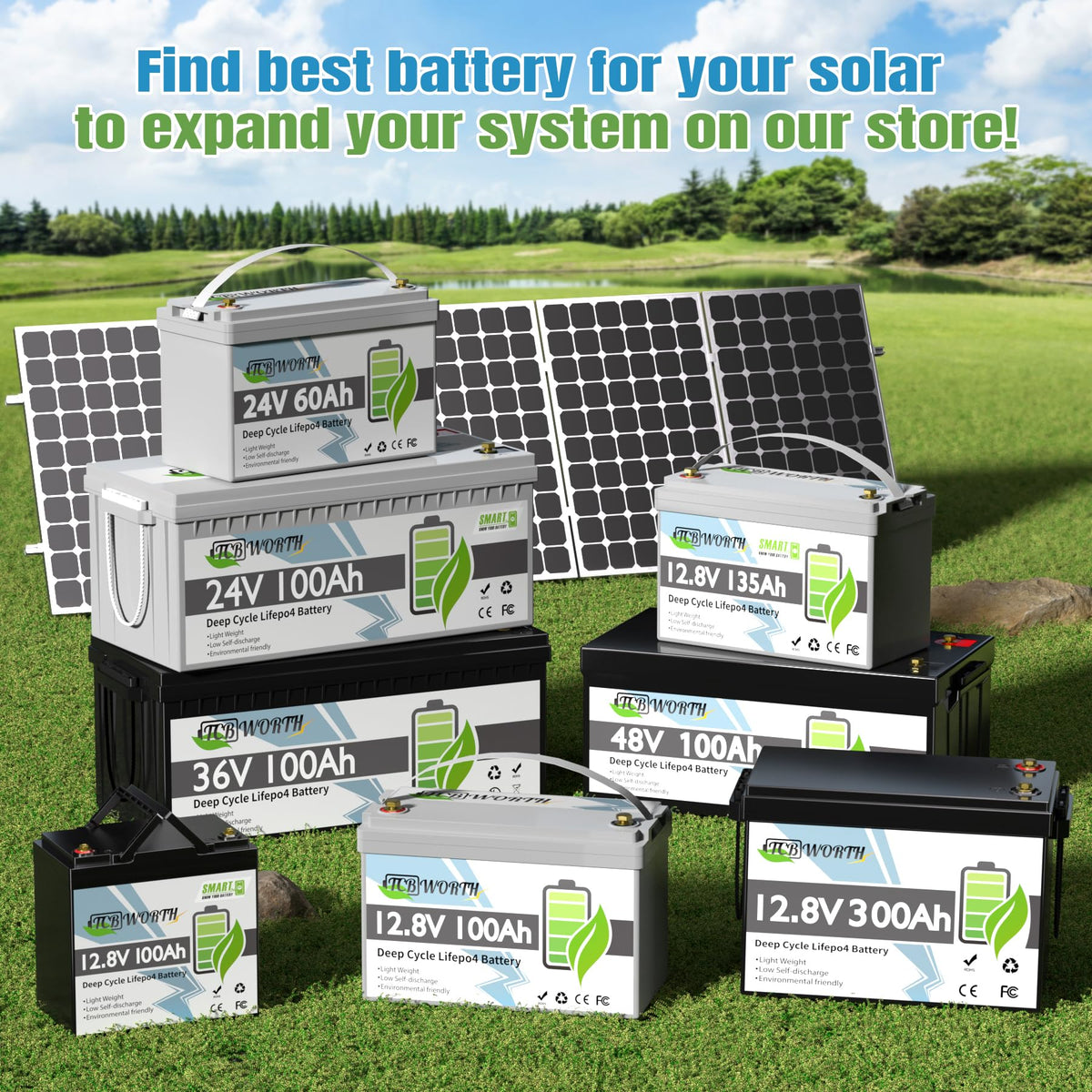 12V 100Ah LiFePO4 Deep Cycle Lithium Battery with 100A BMS G977645