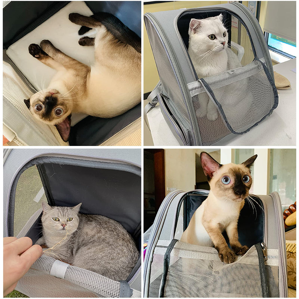 Bubble Backpack Pet Carriers R746