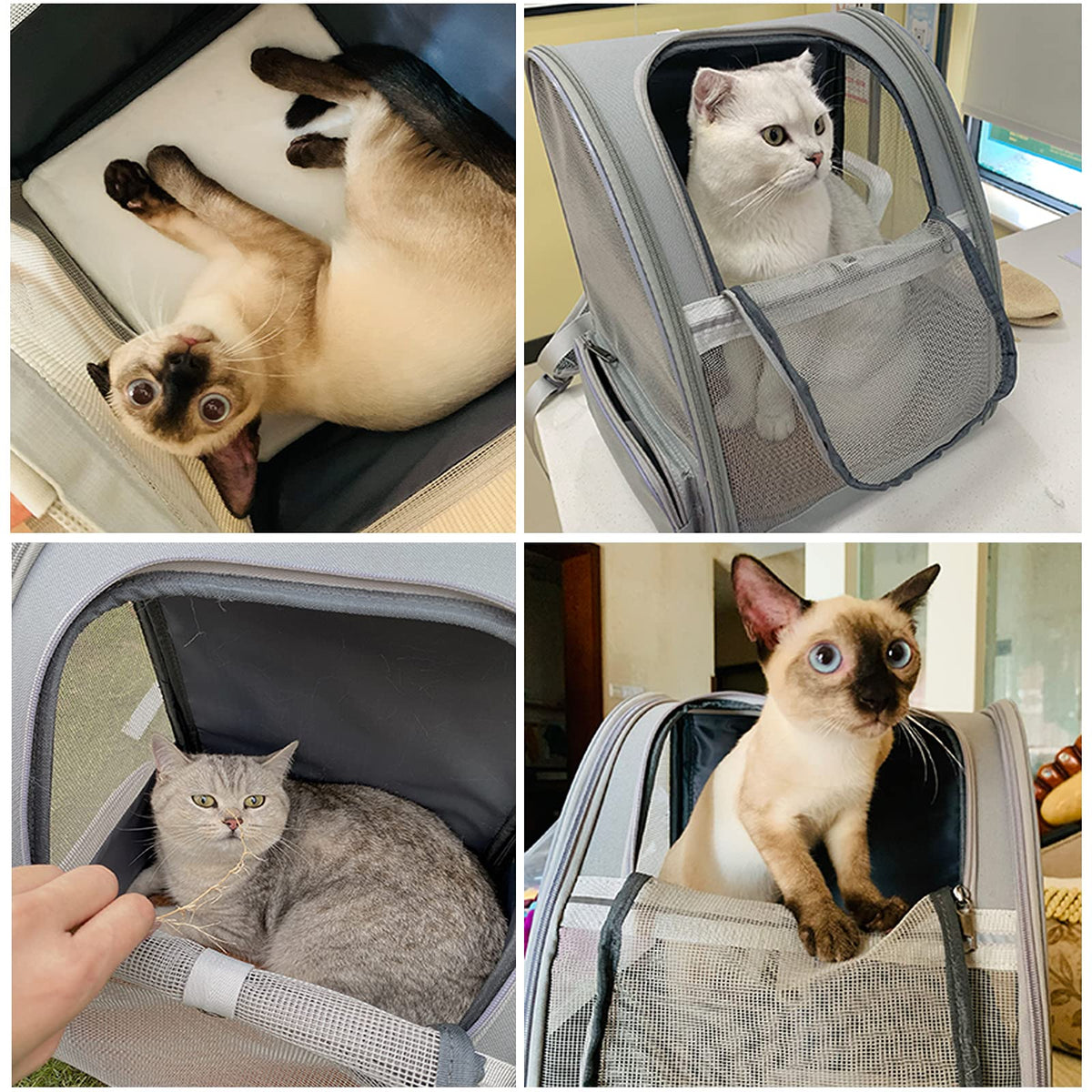 Bubble Backpack Pet Carriers R746