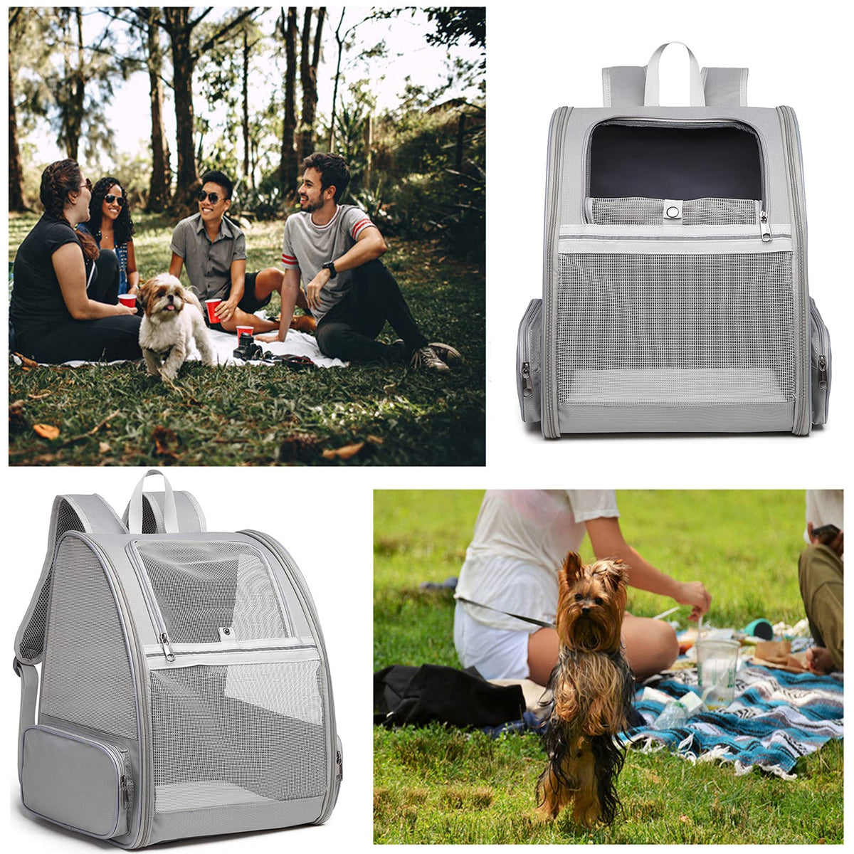 Bubble Backpack Pet Carriers R746