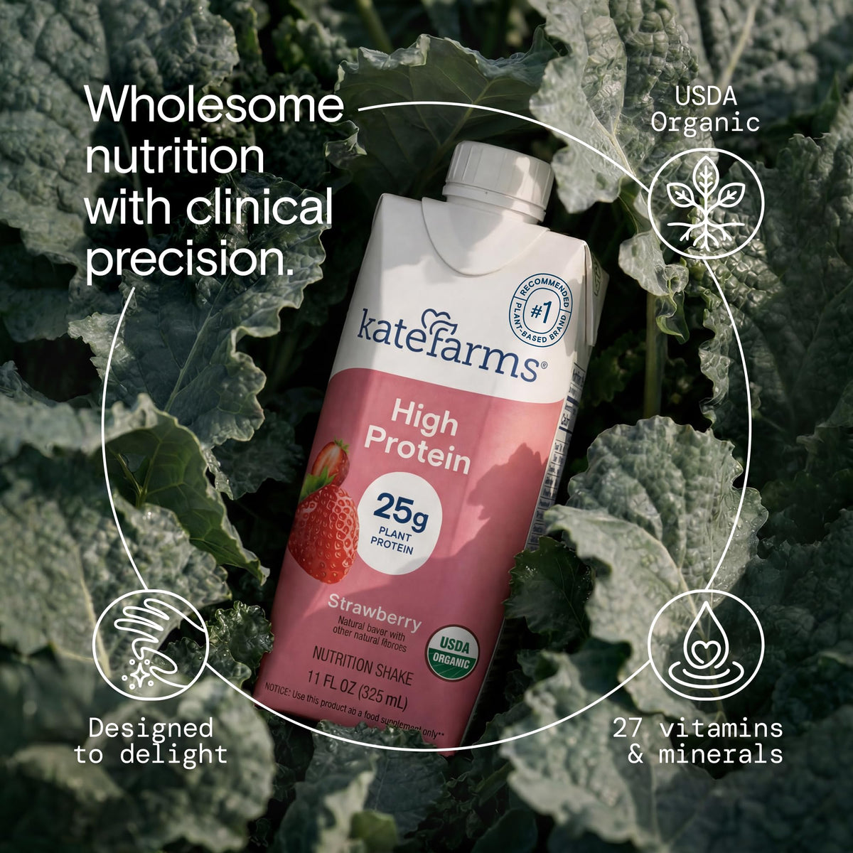 Organic High Protein Strawberry Shake, 25g Protein, 12 Pack K385