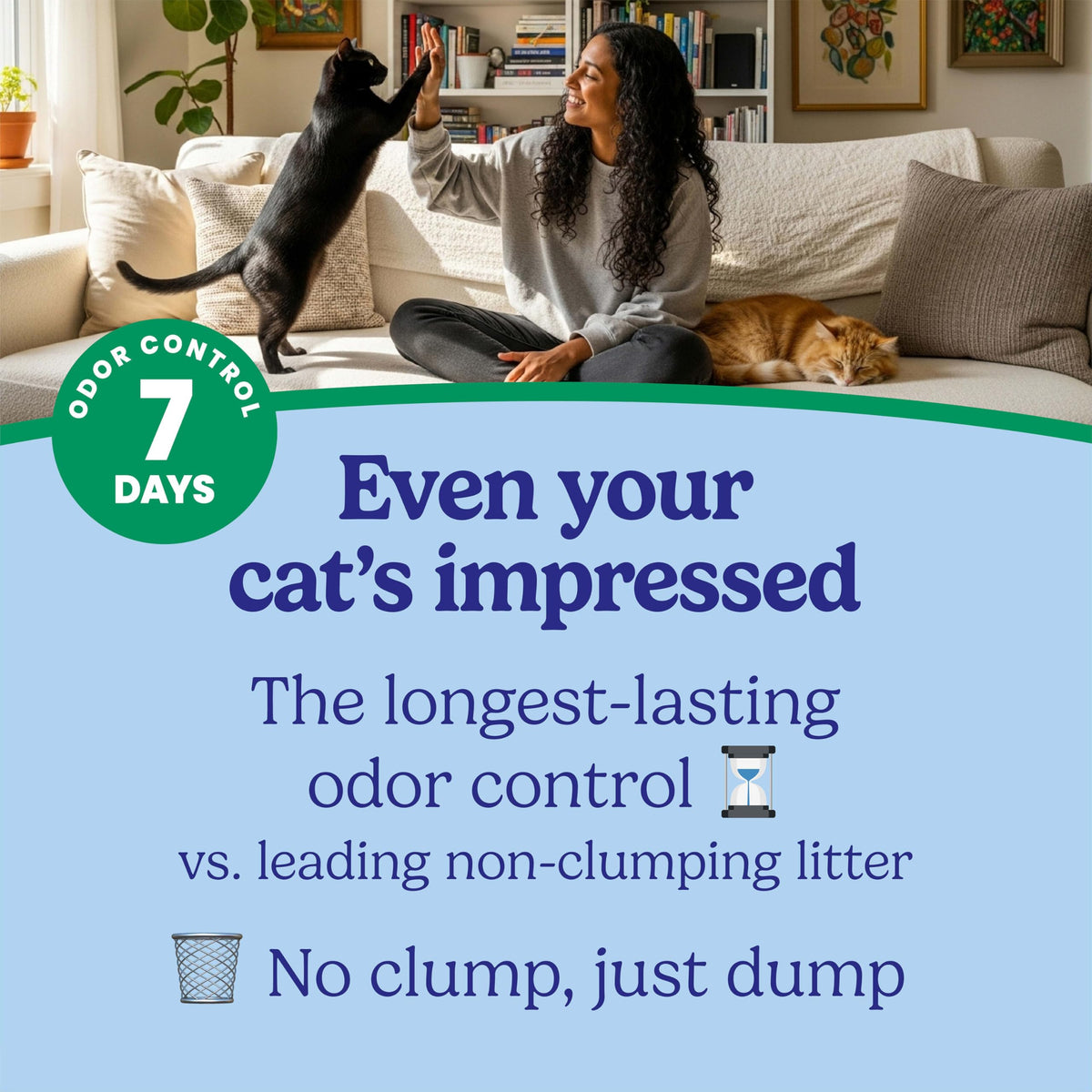 Non-Clumping Cat Litter with Odor Control, 35 lb. Bag X2215