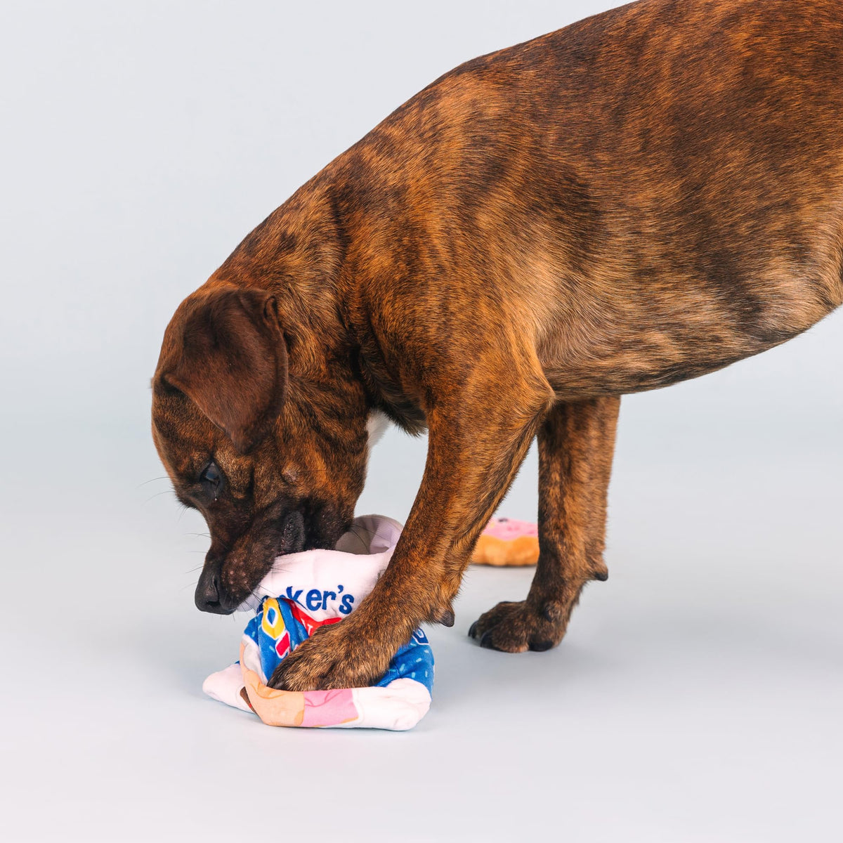 Plush Dog Toy Set V377129