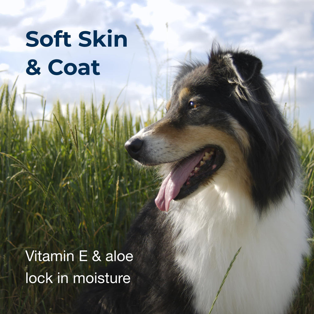 Linen Scented Shampoo 1 Gallon with Vitamin E & Aloe Vera K12835