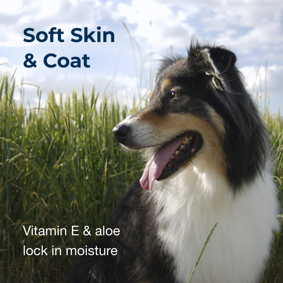 Linen Scented Shampoo 1 Gallon with Vitamin E & Aloe Vera K12835